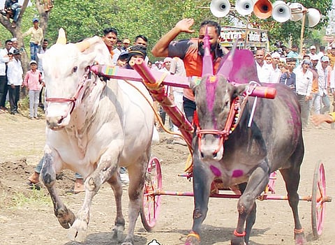 कामशेत : यात्रा, जत्रामुळे गावचे गावपण टिकून