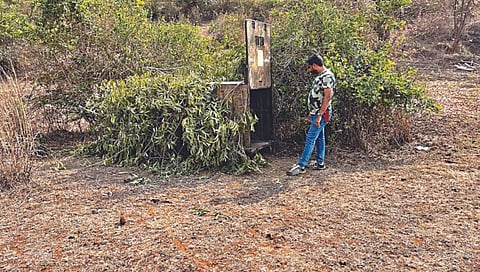 Nashik : पिंपळदला पिंजऱ्यांची तटबंदी कायम; २० दिवसांनंतरही ‘त्या’ बिबट्याचा शोध सुरूच