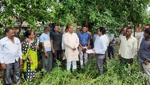 नंदुरबार : पालकमंत्री गावित यांचे तातडीने पंचनामे करण्याचे निर्देश