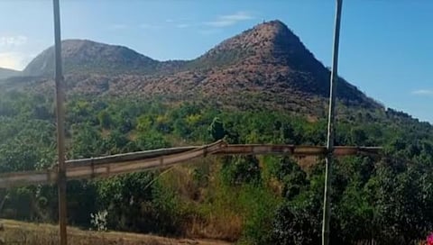 Nashik : पांजरापोळमधील झाडे, जनावरे पशु-पक्ष्यांचे आज सर्वेक्षण