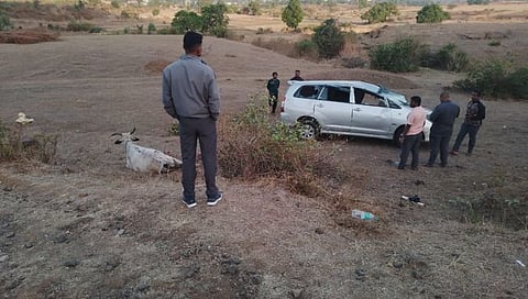 Nashik : अपघातामुळे वाचले गायींचे प्राण ; बेशुद्धीच्या औषधांसह कार पोलिसांकडून जप्त