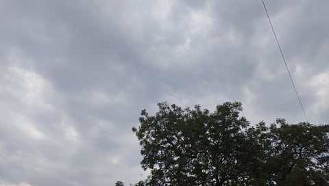 Weather Update : सोलापूर शहर व जिल्ह्यात ढगाळ वातावरण