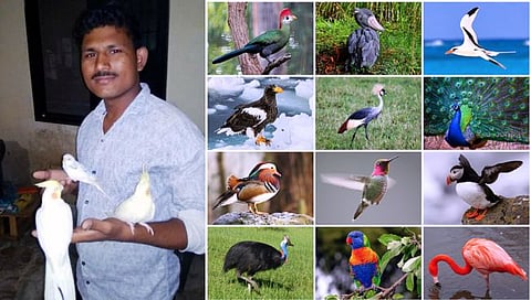 Hingoli News : २०० पशुपक्ष्यांचा आवाज काढणारा हिंगोलीचा अवलिया (Video)