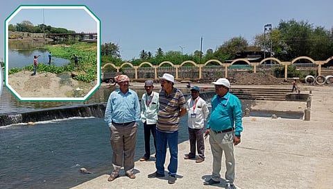 नाशिक : गोदावरीतील मृत मासे प्रकरणाची गंभीर दखल