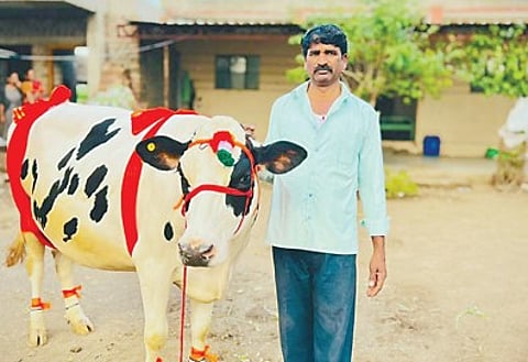 कर्दनवाडी येथील गायीला दोन लाख 11 हजार रुपयांची किंमत मिळाली.