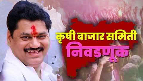 APMC Market Election : परळी पाठोपाठ अंबाजोगाई बाजार समितीवर धनंजय मुंडे यांचे वर्चस्व