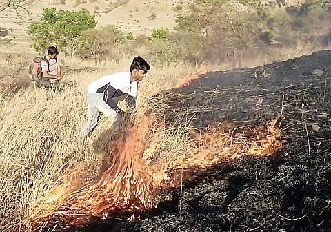 वाळुंजवाडी-लांडेवाडी परिसरातील डोंगराळ भागात वणवा
