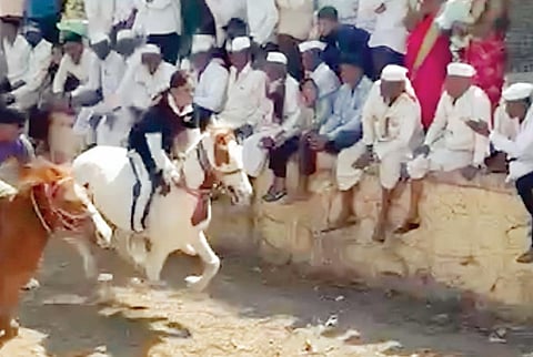 बैलगाडा शर्यतीत शर्मिलाची घोडेस्वारी ! गावोगावच्या घाटांत कौतुक