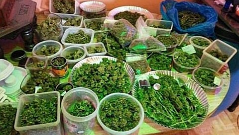 Goa Drug Case : गोव्यात अमली पदार्थ प्रकरणी रशियन ऑलिम्पिकपटूला अटक; रशियाचा माजी पोलीसही अटकेत