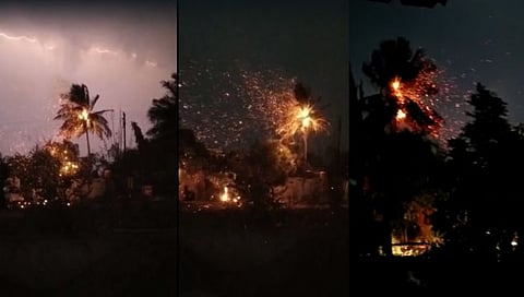 माळीनगर पूर्व भागात विजेचे थरार नाट्य; नारळीच्या झाडाने घेतला पेट