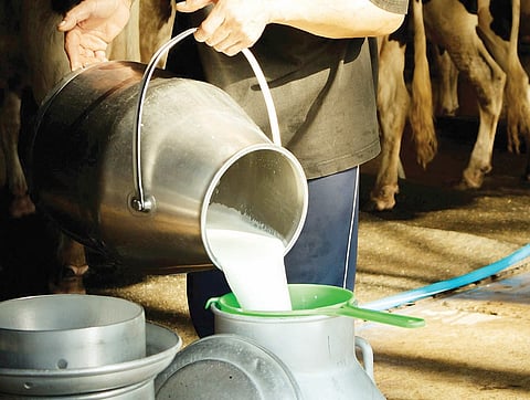 अहमदनगर जिल्ह्यात दूध भेसळीबाबत कारवाया 177; गुन्हे दोनच!
