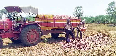 पुरंदरचा कांदा तमिळनाडूच्या बाजारात