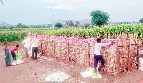 पारगाव : बराकीत साठविलेले कांदे सडण्याचा धोका!