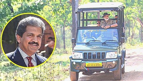 पंतप्रधान मोदींच्या जंगल सफारीवर आनंद महिंद्रांचे ट्विट ठरले चर्चेचा विषय