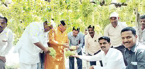 कोळगाव : घोटवीत गारांमुळे शेतीचे नुकसान; आ. पाचपुतेंची द्राक्षबागेस भेट