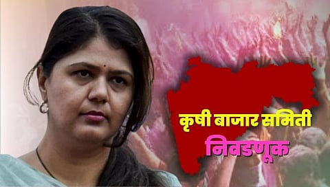 बीड : बाजार समिती निवडणुकीत पराभवाची धुळ; पंकजा मुंडे यांना धोक्याची घंटा (APMC Election)