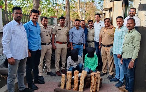 पुणे : दोघा चंदन चोरट्यांना बेड्या, सात गुन्ह्यांचा छडा