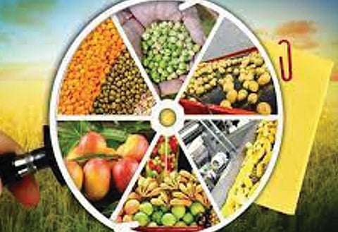 अन्नप्रक्रिया उद्योगांसाठी 49 कोटी; प्रधानमंत्री सूक्ष्म अन्नप्रक्रिया उद्योग योजनेंतर्गत मंजुरी