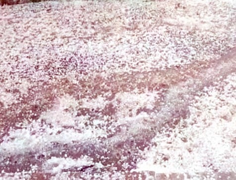 संगमनेरला मध्यम, अकोल्यात जोर‘धार’ गारपीट! ‘अवकाळी’ने केली अवकळा