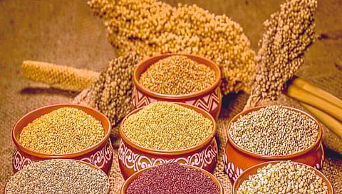 श्री धान्य की आदिम धान्य!