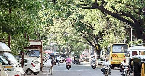 …तर पुणे शहराची फुप्फुसे नाहीशी होतील!