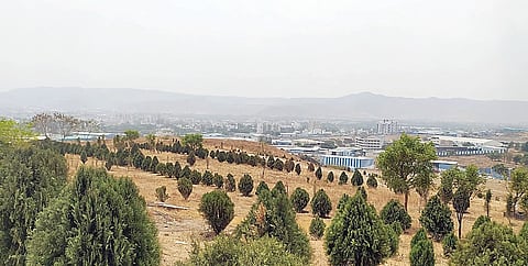 उरुळी-फुरसुंगी कचरा डेपोचा कायापालट; 16 हजार झाडांची लागवड, पर्यटनस्थळ म्हणून विकास