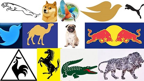 Animal & Birds on Company Logo : ब्रँडेड कंपन्यांच्या लोगोवरील प्राणी पक्षी जाणून घ्या रंजक माहिती….
