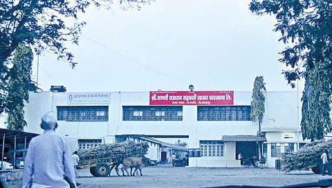 राजाराम कारखाना निवडणूक : विजयाचा गुलाल कोण उधळणार? उत्कंठा शिगेला, दोन्ही आघाड्यांकडून विजयाचे दावे