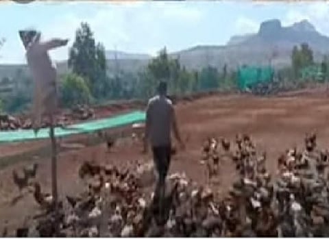 सिडको : स्वतःचा कुक्कुटपालन व्यवसाय करणारे डिएड शिक्षक संदीप कचरे.