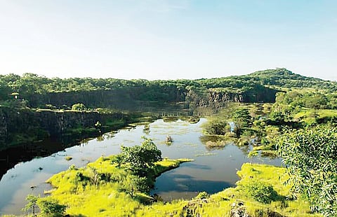 पुणे शहराचे फुप्फुस असलेली वेताळ टेकडी वाचलीच पाहिजे…