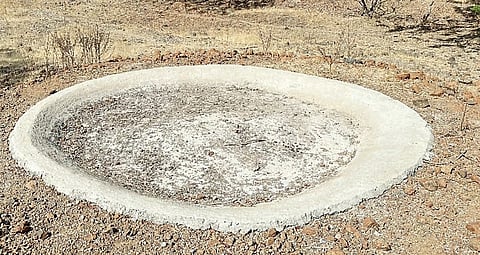 वालचंदनगर : भरणेवाडी अभयवनातील पाणवठे कोरडेठाक