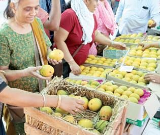 अक्षयतृतीयेनिमित्त बाजारात चैतन्य