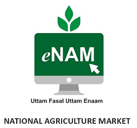 ‘ई-नाम’ने कोष खरेदी करणारा पुणे पहिला जिल्हा