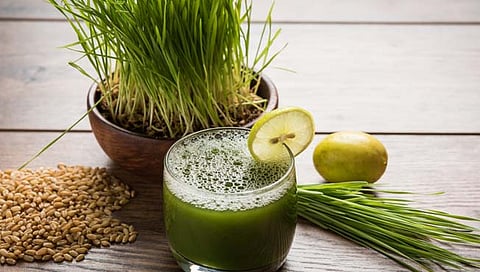 wheatgrass juice