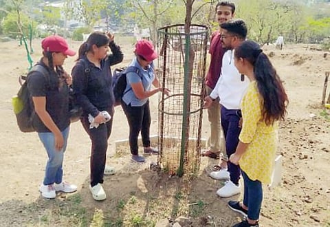 ‘कनेक्ट ट्री’ देणार नव्या वृक्षांची माहिती