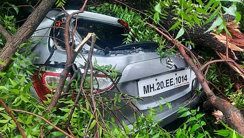 छत्रपती संभाजीनगर : हतनूर येथे झाड कोसळून कारचे मोठे नुकसान