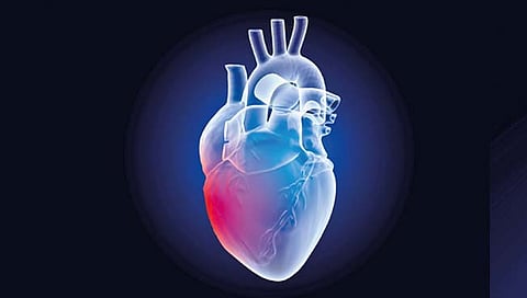 Heart attack : ‘हार्ट अटॅक’ घाबरू नका; …झटक्यानंतरही हृदय होऊ शकते दुरुस्त