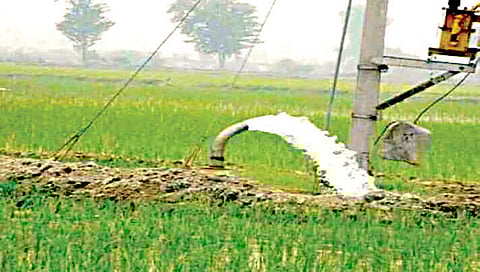 कृषीपंप जोडण्या www.pudhari.news