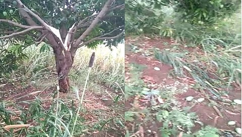 बीड: नित्रुडमध्ये मेघगर्जनेसह अवकाळी पाऊस व गारपीट