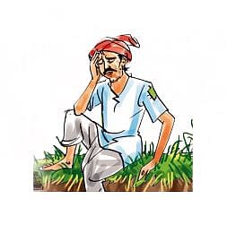 नगर जिल्ह्यातील 539 गावांमध्ये दुष्काळसदृश परिस्थिती