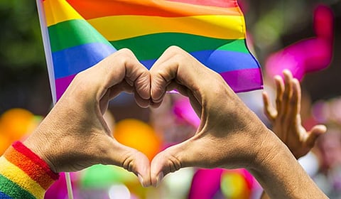 ‘…हा तर भारतातील कुटुंब व्यवस्थेवरच हल्ला’ : समलैंगिक विवाह मान्यतेला संत समितीचा विरोध