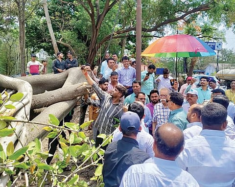 पर्यावरणप्रेमी-प्रशासनात हवा समन्वय ; अभिनेते सयाजी शिंदे यांचे मत
