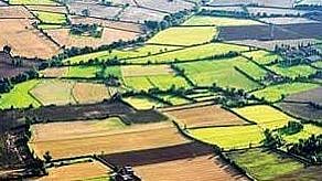 तुकडेबंदी नियमित करण्यासाठी 67 प्रस्ताव ; जाचक अटींचा परिणाम