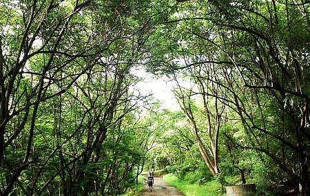 पुणे : वेताळ टेकडीसाठी आवाज उठविणे गरजेचे