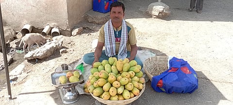 पिंपळनेर : बाजारपेठेत दाखल झालेले गावरान आंबे विकताना आंबा उत्पादक. (छाया: अंबादास बेनुस्कर)
