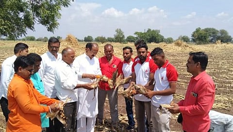 धुळे : विजयाचे हार तुरे झुगारत आ. कुणाल पाटील यांनी केली नुकसानग्रस्त पिकांची पहाणी