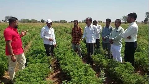 मनमाड : येथे जिरेनियमची शेतीची पाहणी करताना कृषी अधिकारी व ग्रामस्थ.