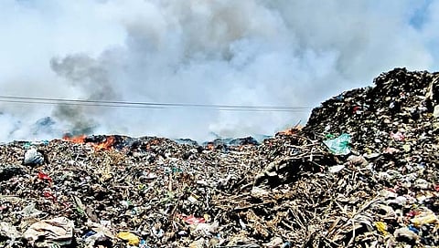 कोल्हापूर : झूम प्रकल्पातील कचरा पुन्हा पेटला