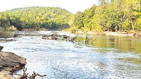 कर्नाटकात भाजपसह काँग्रेसही म्हादईच्या मूळावर; गोव्यात संताप