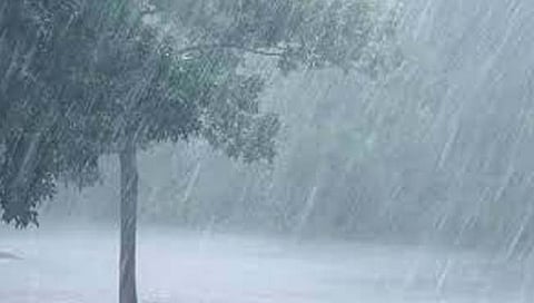 IMD update : राज्यातील या जिल्ह्यांना ऑरेंज-यलो अलर्ट जारी